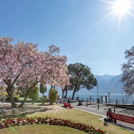 Junior Modern-24 By Interhome Ascona